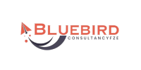 www.bluebirdconsultants.com Logo